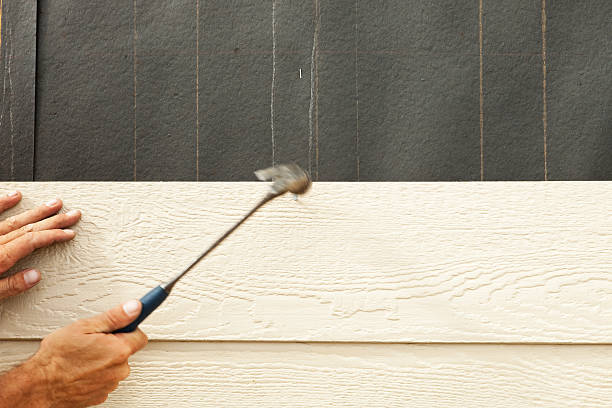 Best Siding for New Construction  in Elgin, SC